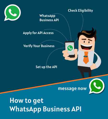 whatsapp business api